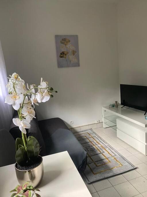 Appartement Cosy 15 Min D'Orly Longjumeau Exterior photo